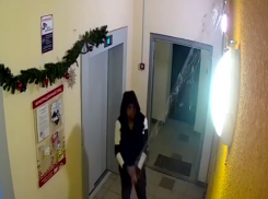 Очередного Гринча засняли на видео в Воронеже