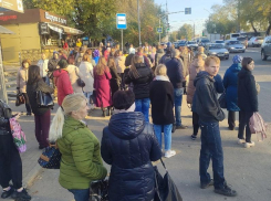 «Люди дерутся за автобусы», - как маршруточный переполох доводит воронежцев до ручки