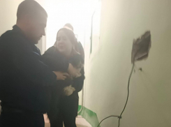 Замурованного котика достали из стены в Воронеже