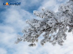 Лютые морозы со снегопадами надвигаются на Воронежскую область