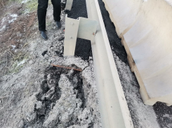 Автомобилисты рискуют рухнуть в пропасть на воронежской трассе 