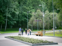 Стало известно место Воронежской области в рейтинге экологического благополучия регионов РФ