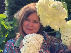 Готовим древовидные гортензии к летнему цветению уже сейчас