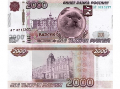 Барсик из Барнаула не сможет конкурировать с воронежским Котёнком с улицы Лизюкова