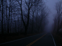 Задержание убийц водителей в Подмосковье - банды ГТА