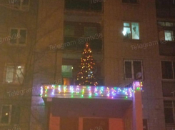 Елку заметили в неожиданном месте в Воронеже