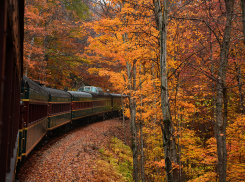 Воронежским школьникам и студентам вернули льготы на проезд в электричках