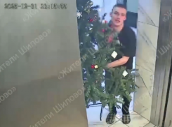 Неожиданный поступок совершили два Гринча в Воронеже 