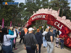 Более 55 тысяч человек успели посетить фестиваль «Город-Сад»-2022 в Воронеже