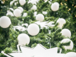 Куда пойти с ребенком на новогодние праздники в Воронеже 2016