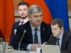  «Решительная сила» губернатора Гусева, или Как ссорят Соколова и Сокольникова