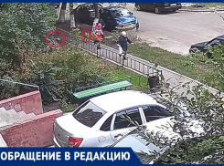 Стая собак устроила переполох и напугала детей в Воронеже