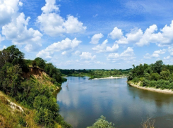  В Год экологии объем работ по расчистке Воронежского водохранилища увеличится в три раза
