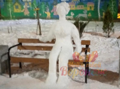 Таинственная незнакомка предстала перед воронежцами в необычном виде