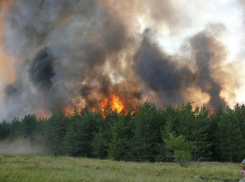 На территории Воронежской области спасатели введут особый противопожарный режим
