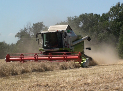 Воронежские аграрии просят почти 1,3 миллиарда льготных кредитов