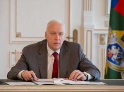 Бастрыкин заинтересовался появлением синяков на теле девочки в воронежском детсаду 