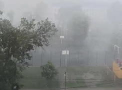 Мощный тропический ливень обрушился на Воронеж