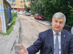 Губернатору Гусеву пришлось отдуваться за воронежских дорожников 