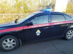 За интим с 14-летней девочкой парень попал под следствие в Воронежской области