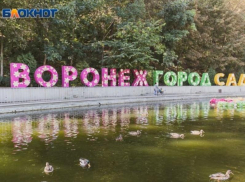 Стало известно, что запрещено проносить на фестиваль «Город-сад» в Воронеже 