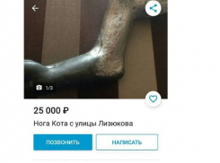 В Воронеже через Avito продают ногу Котенка с улицы Лизюкова