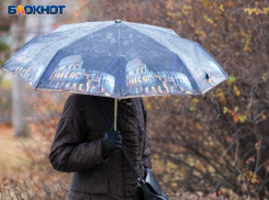 Череда дождей накроет Воронеж в начале новой недели
