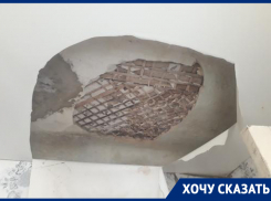 Сырость и грибок принес обвал потолка после капремонта в квартиру в центре Воронеже  