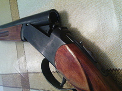  Житель Воронежской области осужден за хранение подаренного ружья 