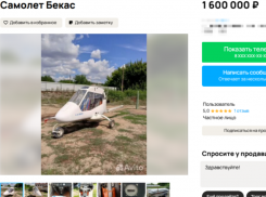 Самолет за 1,6 млн продают в Воронеже 