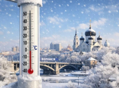 Арктический холод атакует Воронеж накануне праздников 