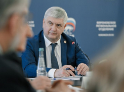 Городское отделение «Единой России» в очередной раз создают в Воронеже