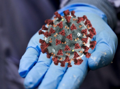 Названа причина рекордного роста заболевших коронавирусом в Воронежской области