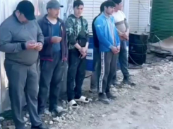 Увеличение числа иностранных трудовых мигрантов прогнозируют в воронежском правительстве