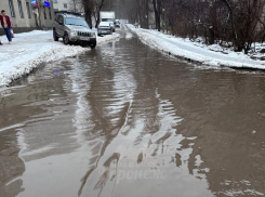 Фекальный прорыв затопил улицу в Воронеже – опубликованы фото