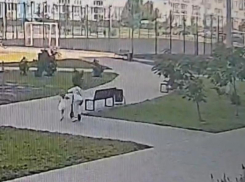 Мальчик на электросамокате сбил маленькую девочку в Воронеже – видео