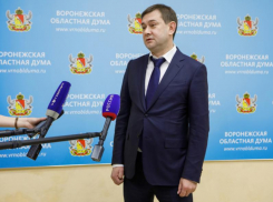 Минута созерцания Владимира Нетёсова и его облдумы обойдётся воронежцам дороже 65 тысяч рублей