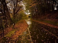 На рабочей неделе в Воронеже потеплеет до +11 °С