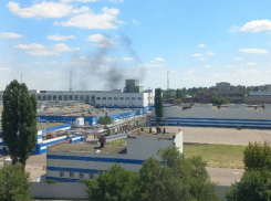 «Полы, подоконники черные»: на выбросы с завода продолжают жаловаться воронежцы