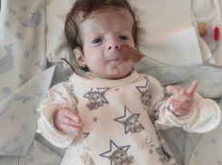 Последний шанс: у воронежцев появилась возможность спасти маленькую жизнь