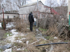Жизнь как борьба с дерьмом (Как воронежские власти довели жителей Зареченского)