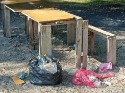 «Вы черти!» – зона отдыха, превратившаяся в помойку, вывела из себя воронежцев