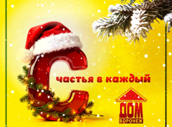 Компания «Воронеж-Дом» от всей души поздравляет жителей Воронежа с Новым годом и Рождеством!