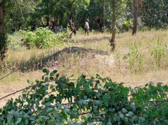 Начало нового «проекта безжизненной пустыни» сняли на набережной в Воронеже