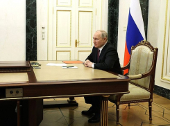 Стало известно, сколько воронежцев одобряют деятельность президента Владимира Путина