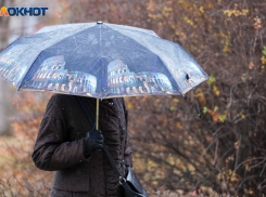 Испытание на прочность: ничего хорошего не стоит ждать от погоды в Воронеже