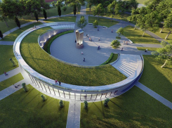 При создании музея ВДВ в Воронеже вырубят 11 деревьев