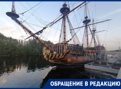 «К сожалению, не знаю имен»: жительница Воронежа отблагодарила сотрудников ГИБДД за вызванную скорую помощь 