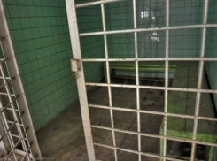 За кражу двух бутылок водки двум воронежцам «светит» тюрьма