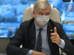 Александр Гусев объяснил окончание дистанционного обучения в школах Воронежской области 